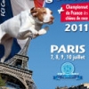 World dog show l'e xposition canine des meilleures races de chien-chiot pour les concours